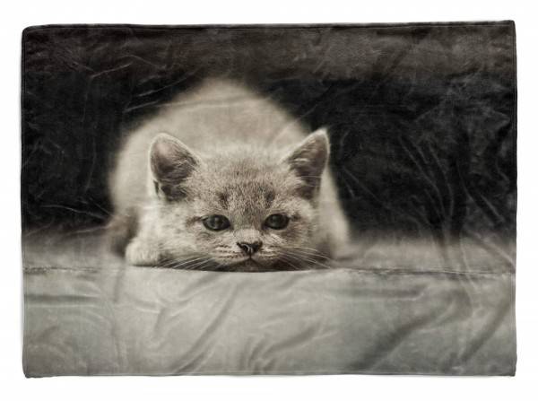 Paul Sinus Art Handtuch Strandhandtuch Saunatuch Kuscheldecke mit Tiermotiv kleine Katze Kätzc