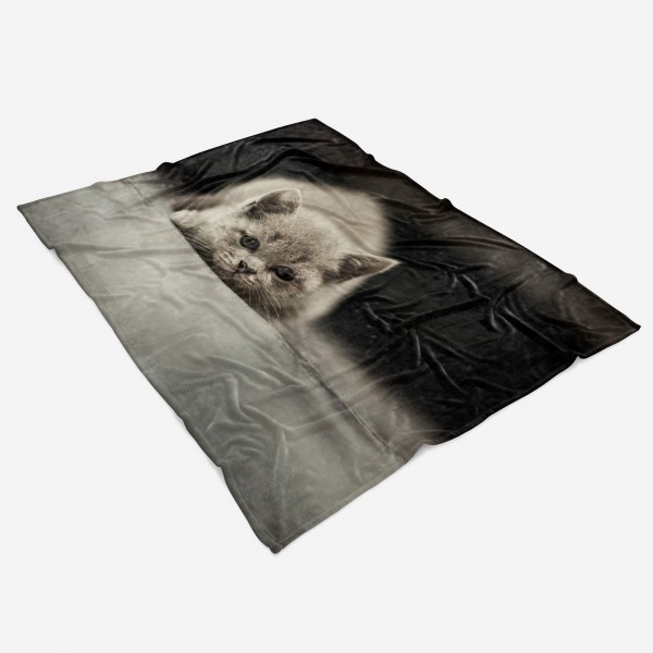 Paul Sinus Art Handtuch Strandhandtuch Saunatuch Kuscheldecke mit Tiermotiv kleine Katze Kätzc Weihnachtsangebot