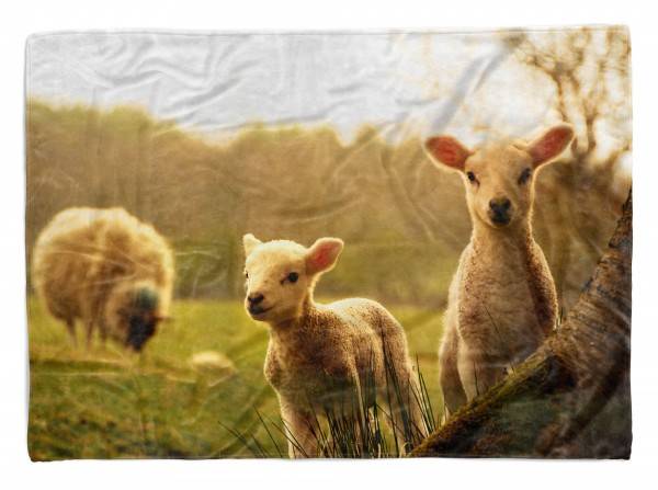 Paul Sinus Art Handtuch Strandhandtuch Saunatuch Kuscheldecke mit Tiermotiv süße Lämmchen
