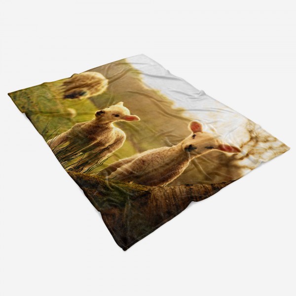 Paul Sinus Art Handtuch Strandhandtuch Saunatuch Kuscheldecke mit Tiermotiv süße Lämmchen Muttertagsangebot