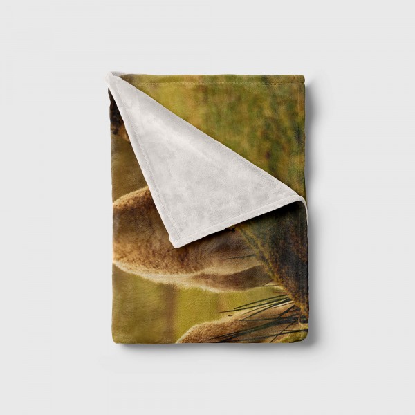 Paul Sinus Art Handtuch Strandhandtuch Saunatuch Kuscheldecke mit Tiermotiv süße Lämmchen Muttertagsangebot