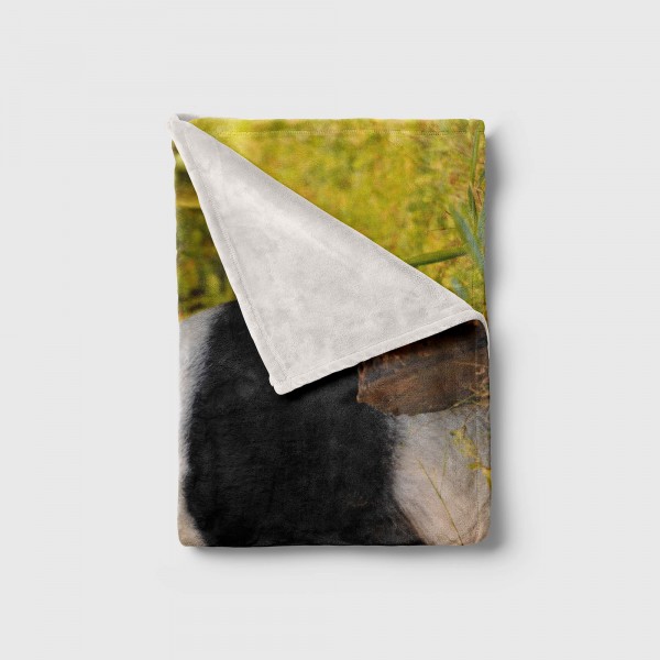 Paul Sinus Art Handtuch Strandhandtuch Saunatuch Kuscheldecke mit Tiermotiv Panda Bambus Vatertagsangebot
