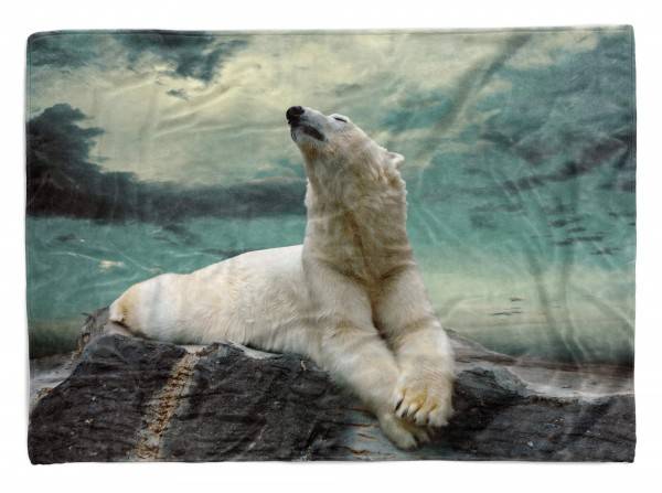 Paul Sinus Art Handtuch Strandhandtuch Saunatuch Kuscheldecke mit Tiermotiv Eisbär