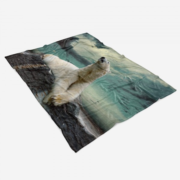 Paul Sinus Art Handtuch Strandhandtuch Saunatuch Kuscheldecke mit Tiermotiv Eisbär Valentinstagsangebot