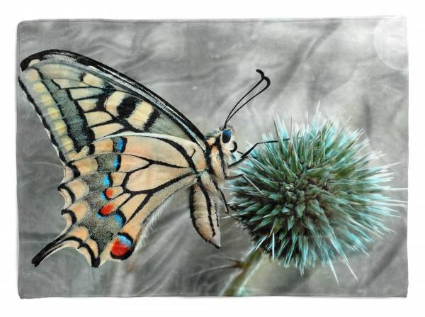 Paul Sinus Art Handtuch Strandhandtuch Saunatuch Kuscheldecke mit Tiermotiv Schmetterling Naha