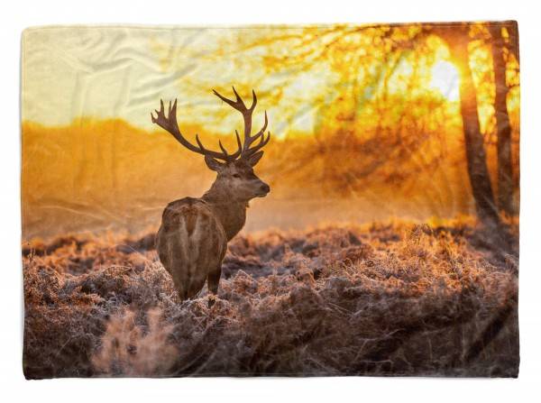Paul Sinus Art Handtuch Strandhandtuch Saunatuch Kuscheldecke mit Tiermotiv Hirsch Wald Sonnen