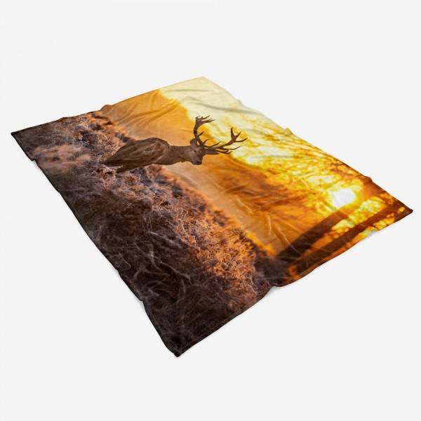 Paul Sinus Art Handtuch Strandhandtuch Saunatuch Kuscheldecke mit Tiermotiv Hirsch Wald Sonnen Top Angebot