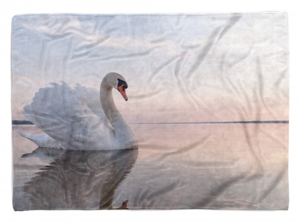 Paul Sinus Art Handtuch Strandhandtuch Saunatuch Kuscheldecke mit Tiermotiv schöner Schwan See