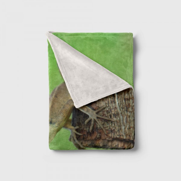 Paul Sinus Art Handtuch Strandhandtuch Saunatuch Kuscheldecke mit Tiermotiv Leguan Echse Blitzangebot