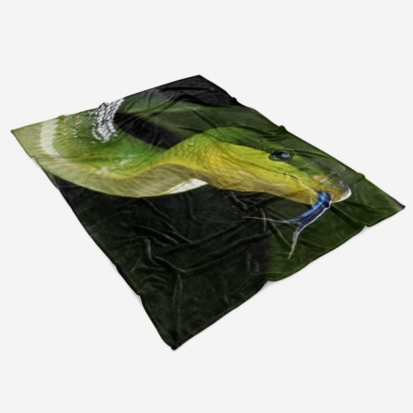 Paul Sinus Art Handtuch Strandhandtuch Saunatuch Kuscheldecke mit Tiermotiv Schlange Exotisch Bestseller