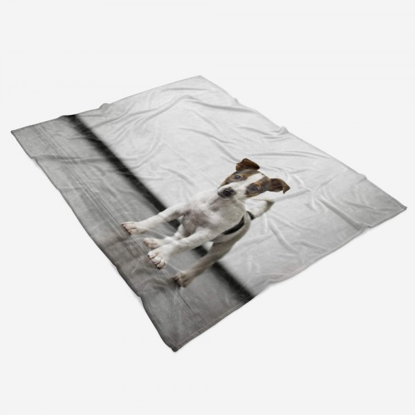 Paul Sinus Art Handtuch Strandhandtuch Saunatuch Kuscheldecke mit Tiermotiv süßer Hund Welpe Kauf eins, bekomm eins gratis