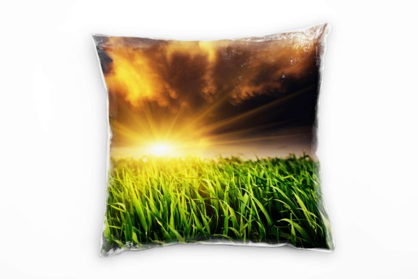 Paul Sinus Art Natur, grün, orange, Gras, dramatische Wolken Deko Kissen 40x40cm für Couch Sofa Lounge Zierkissen