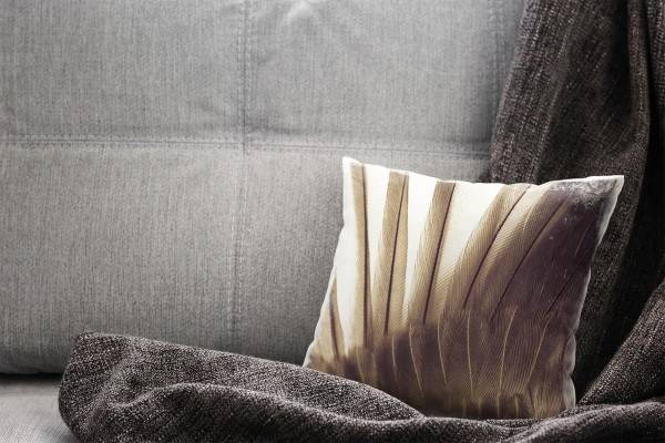 Paul Sinus Art Macro, Tiere, braun, Vogelfedern Deko Kissen 40x40cm für Couch Sofa Lounge Zierkissen Saisonale Angebote