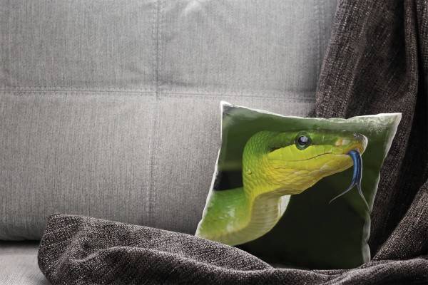 Paul Sinus Art Tiere, grün schwarz, grüne Schlange, Nah Deko Kissen 40x40cm für Couch Sofa Lounge Zierkissen Meist gekauft