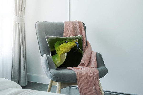 Paul Sinus Art Tiere, grün schwarz, grüne Schlange, Nah Deko Kissen 40x40cm für Couch Sofa Lounge Zierkissen Meist gekauft