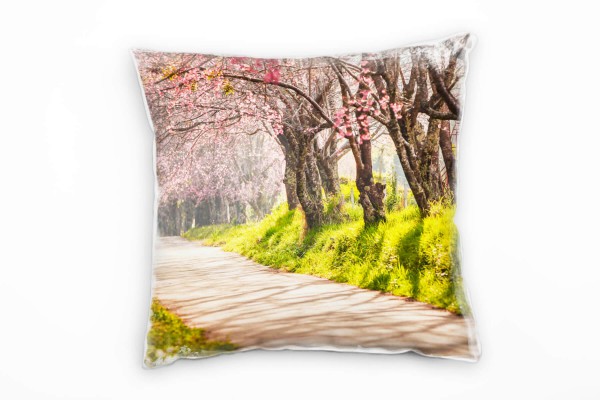 Paul Sinus Art Natur, rosa, grün, Kirschblüten, Allee, Thailand Deko Kissen 40x40cm für Couch Sofa Lounge Zierkisse Jubiläumsangebot