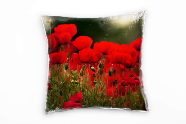Paul Sinus Art Blumen, rot, grün, Klatschmohn Deko Kissen 40x40cm für Couch Sofa Lounge Zierkissen