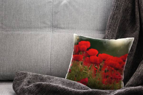 Paul Sinus Art Blumen, rot, grün, Klatschmohn Deko Kissen 40x40cm für Couch Sofa Lounge Zierkissen Heißer Verkauf