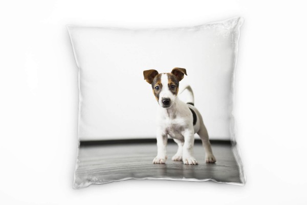 Paul Sinus Art Tiere, grau, braun, weiß, kleiner Wachhund Deko Kissen 40x40cm für Couch Sofa Lounge Zierkissen