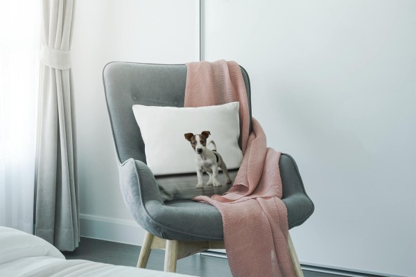 Paul Sinus Art Tiere, grau, braun, weiß, kleiner Wachhund Deko Kissen 40x40cm für Couch Sofa Lounge Zierkissen Kauf eins, bekomm eins gratis