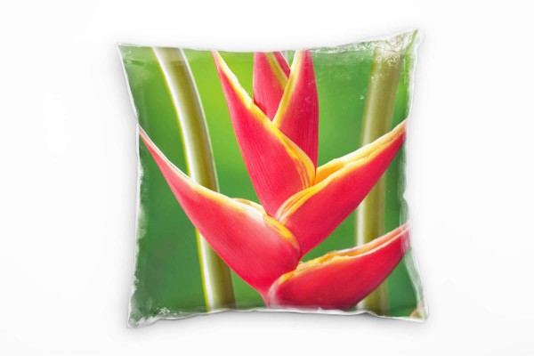Paul Sinus Art Macro, Blumen, rot, grün, Helikonia Deko Kissen 40x40cm für Couch Sofa Lounge Zierkissen