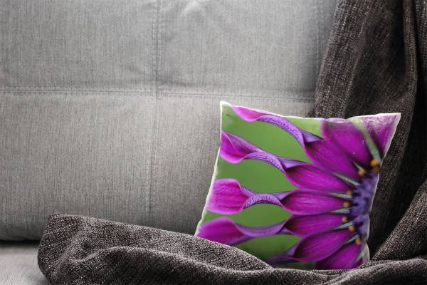 Paul Sinus Art Macro, Blumen, lila, grün, Blütenblätter Deko Kissen 40x40cm für Couch Sofa Lounge Zierkissen Kostenlose Rückgabe