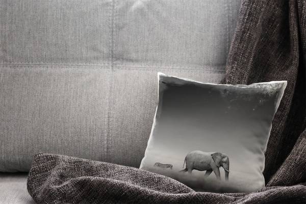 Paul Sinus Art Tiere, schwarz, weiß, Elefant und Zebra Deko Kissen 40x40cm für Couch Sofa Lounge Zierkissen Neueste Stile