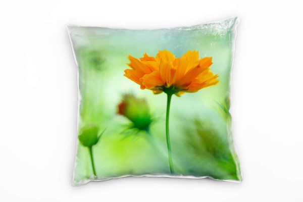 Paul Sinus Art Blumen, grün, orange, Blüte, unscharfer Hintergrund Deko Kissen 40x40cm für Couch Sofa Lounge Zierki Bis zu 65% Rabatt