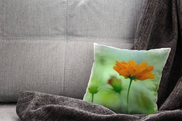 Paul Sinus Art Blumen, grün, orange, Blüte, unscharfer Hintergrund Deko Kissen 40x40cm für Couch Sofa Lounge Zierki Bis zu 65% Rabatt