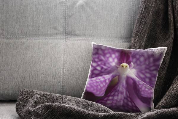 Paul Sinus Art Macro, Blumen, lila, Orchidee Deko Kissen 40x40cm für Couch Sofa Lounge Zierkissen 2025