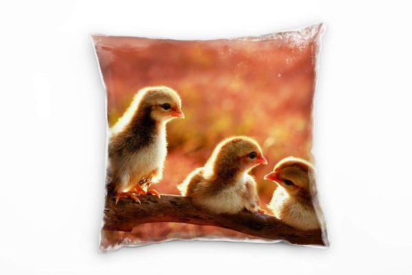 Paul Sinus Art Tiere, orange, Küken auf einem Ast, Nah Deko Kissen 40x40cm für Couch Sofa Lounge Zierkissen