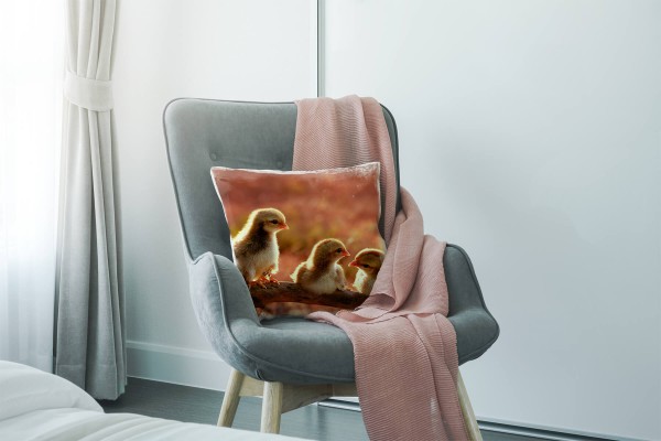 Paul Sinus Art Tiere, orange, Küken auf einem Ast, Nah Deko Kissen 40x40cm für Couch Sofa Lounge Zierkissen Angebote