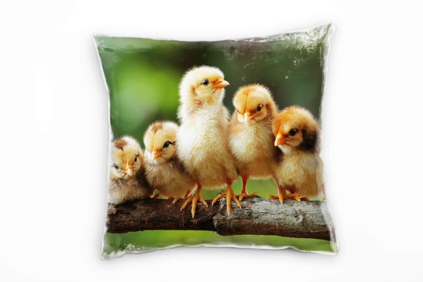 Paul Sinus Art Tiere, gelb, grün, braun, Küken auf einem Ast, Nah Deko Kissen 40x40cm für Couch Sofa Lounge Zierkis
