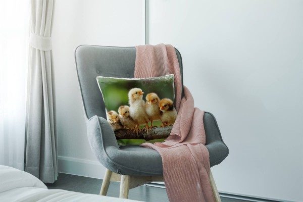 Paul Sinus Art Tiere, gelb, grün, braun, Küken auf einem Ast, Nah Deko Kissen 40x40cm für Couch Sofa Lounge Zierkis Hotsell