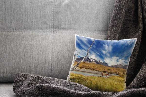 Paul Sinus Art Landschaft, Tiere, grün, blau, Chile Deko Kissen 40x40cm für Couch Sofa Lounge Zierkissen Fabrikpreis