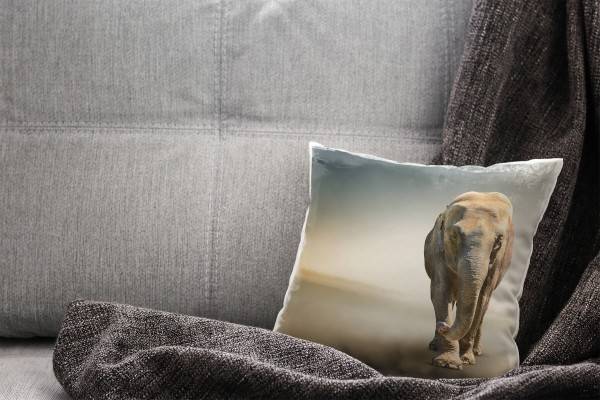 Paul Sinus Art Tiere, braun, grau, Elefant Deko Kissen 40x40cm für Couch Sofa Lounge Zierkissen Rabatt