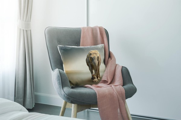 Paul Sinus Art Tiere, braun, grau, Elefant Deko Kissen 40x40cm für Couch Sofa Lounge Zierkissen Rabatt
