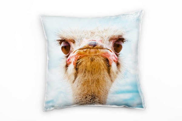 Paul Sinus Art Tiere, Macro, blau, braun, Strauß Deko Kissen 40x40cm für Couch Sofa Lounge Zierkissen