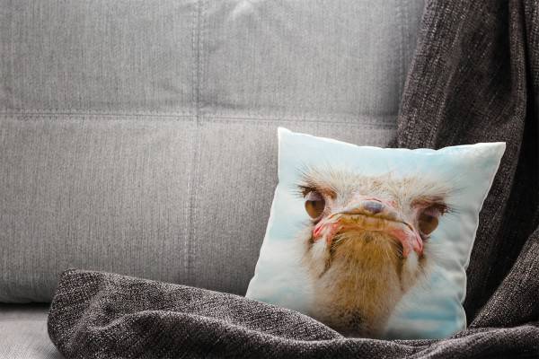 Paul Sinus Art Tiere, Macro, blau, braun, Strauß Deko Kissen 40x40cm für Couch Sofa Lounge Zierkissen Großer Ausverkauf