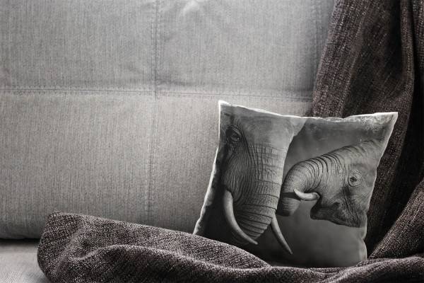 Paul Sinus Art Tiere, schwarz, weiß, Elefantenbaby mit seiner Mutter Deko Kissen 40x40cm für Couch Sofa Lounge Zier Flash Sale