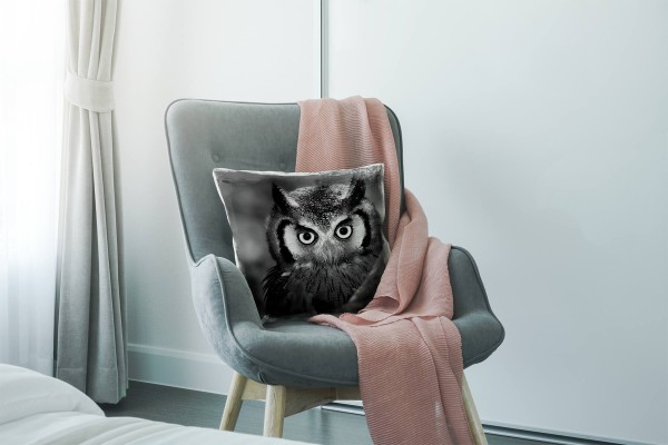 Paul Sinus Art Tiere, schwarz, weiß, Eule, Nah Deko Kissen 40x40cm für Couch Sofa Lounge Zierkissen Online Shopping