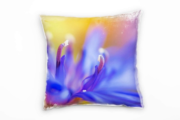 Paul Sinus Art Blumen, Macro, blau, orange, Blütenblätter, Unscharf Deko Kissen 40x40cm für Couch Sofa Lounge Zierk Exklusivangebot