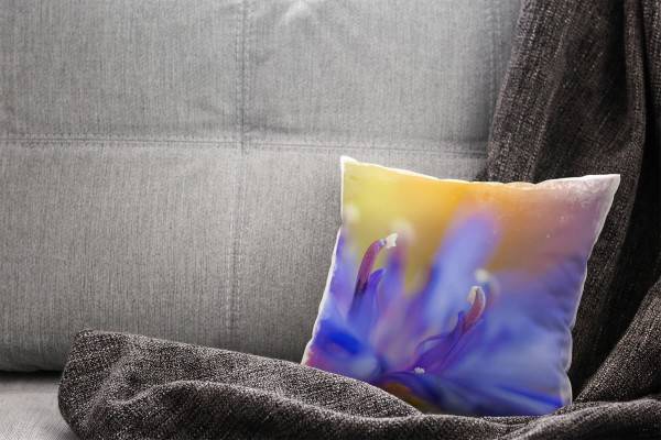 Paul Sinus Art Blumen, Macro, blau, orange, Blütenblätter, Unscharf Deko Kissen 40x40cm für Couch Sofa Lounge Zierk Exklusivangebot