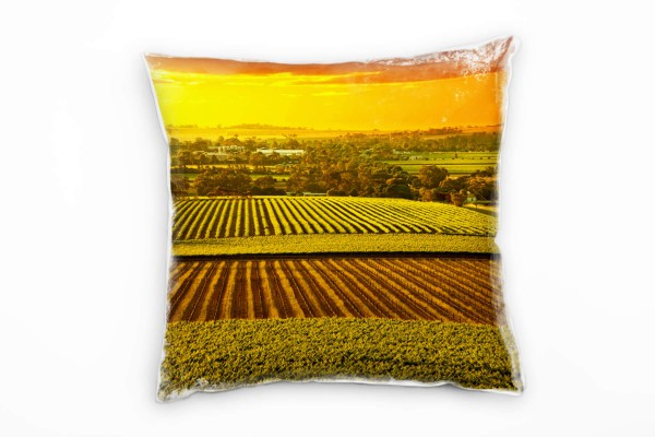 Paul Sinus Art Landschaft, grün, orange, Feld, Australien, Sonnenuntergang Deko Kissen 40x40cm für Couch Sofa Loung Muttertagsangebot